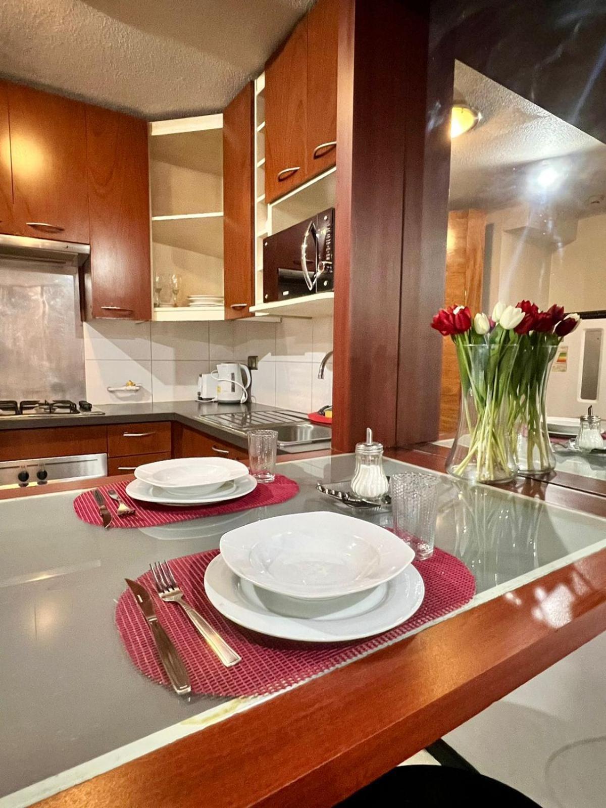 Santiago Suite Apartment Apartment *